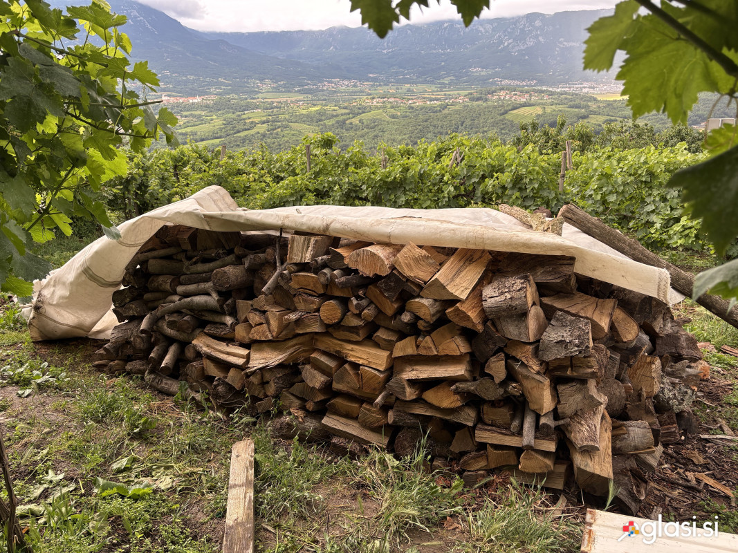 Mešana polena večina hrast