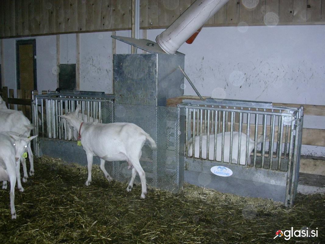 KRMILNA POSTAJA ZA DROBNICO  WASSERBAUER