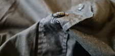 Zegna srajca velikost 41 / 16 let