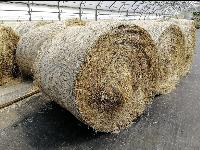 Suhe bale premera 125-130
