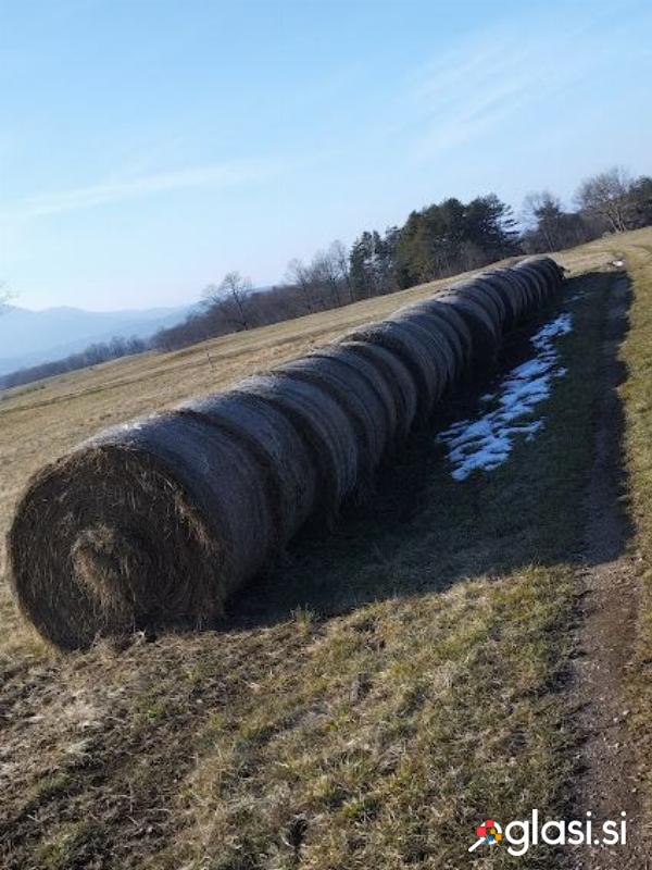 Prodam okrogle bale steljo 35 okroglih bal fi 140cm