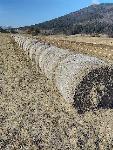Prodam okrogle bale steljo 35 okroglih bal fi 140cm
