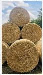 Slama okrogle bale