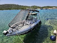 Ranieri International Voyager 19S, Honda BF 100