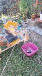 Električni rezalnik za keramiko, kamen ali betonske plošče