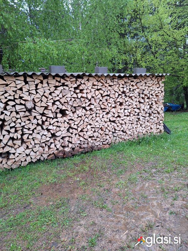 Prodam suha bukova drva