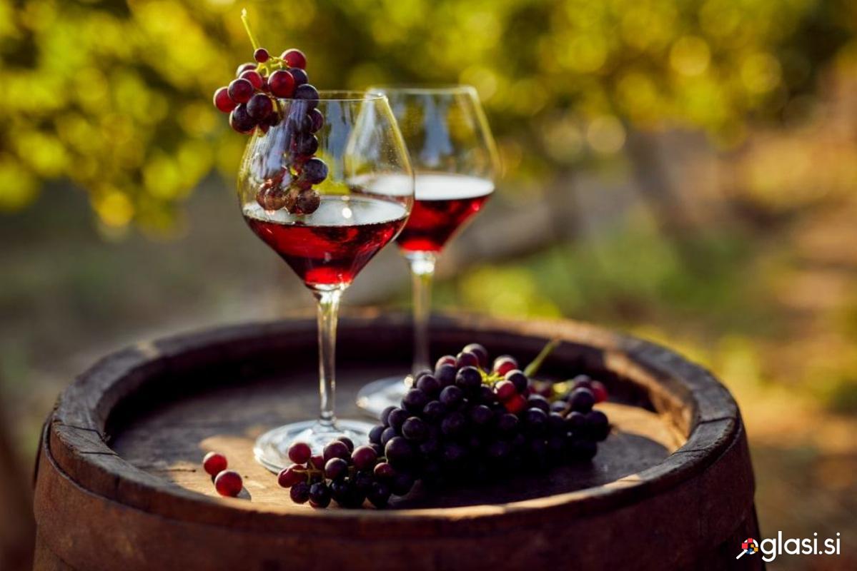 Rdeče vino CVIČEK