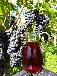 RDEČE NAMIZNO VINO