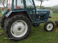 FORD  2000