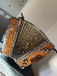 Diatonična harmonika KAPŠ