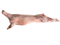 Meso jagnti