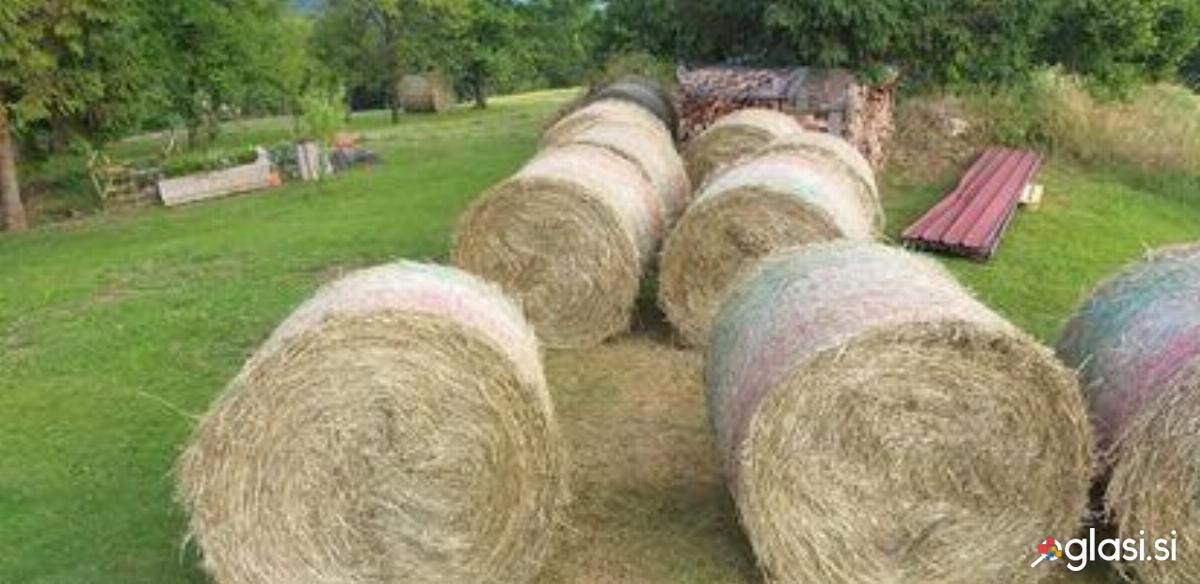 Suho seno okrogle bale BIO 70 eur/kos L2026 rogaška slatina