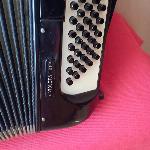 HARMONIKA MELODIJA VIOLETA 80