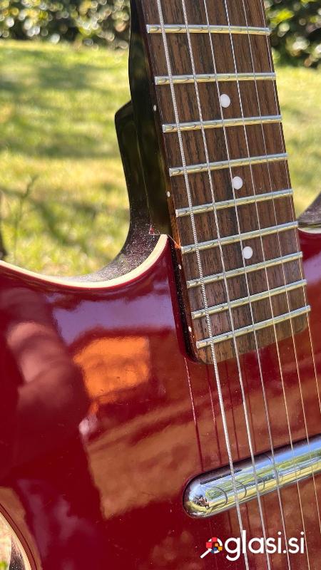 Danelectro