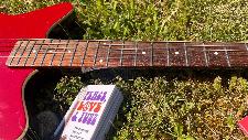 Danelectro
