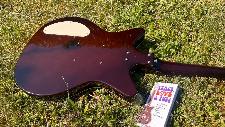Danelectro