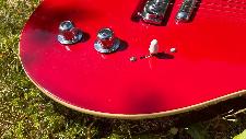 Danelectro