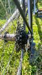 Balance treking/mestno kolo 28 col