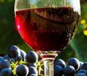 Domače rdeče vino