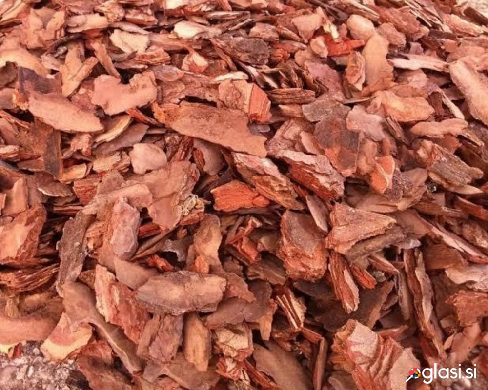 Okrasno borovo lubje za posip 100 L (vrt dekoracija)