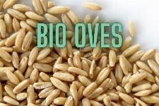 BIO OVES - 100% slovenski