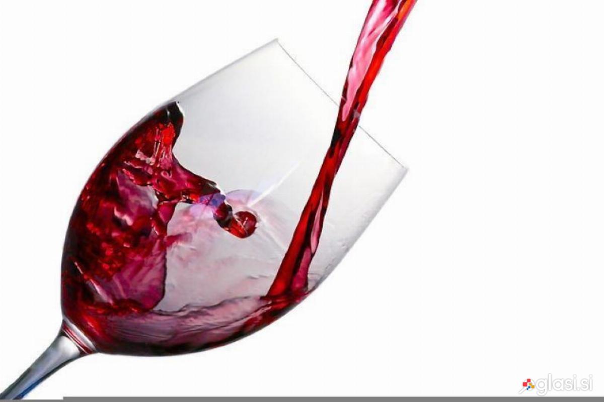 Prodam vino Modra frankinja