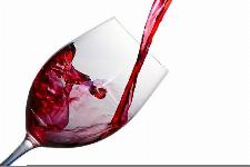 Prodam vino Modra frankinja