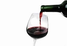 Vino modra frankinja