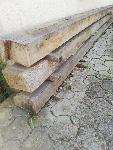 HRAST TRAMI MORALI STEBRI