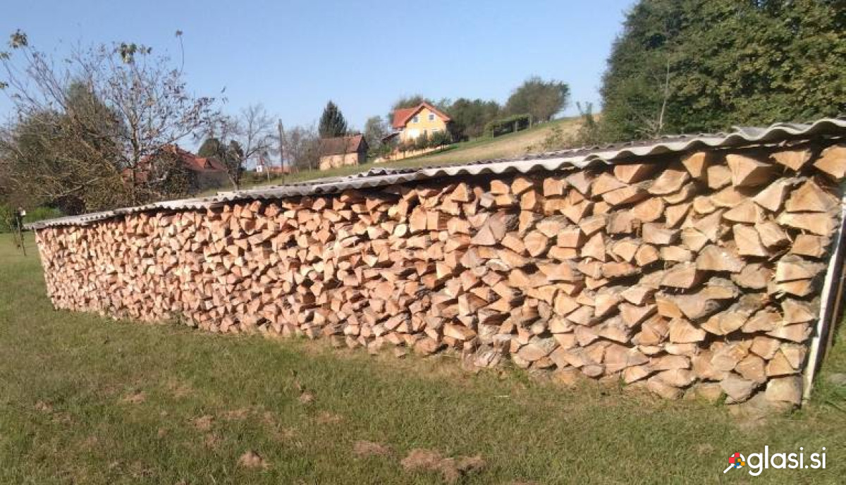 Drva akacija