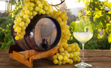 VINO