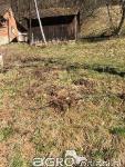 Prodamo sončno, zeleno in mirno posest, odmaknjeno od mestnega vrveža, vendar š