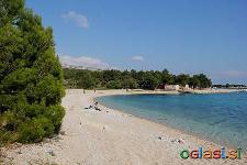 Apartmaje tik ob morju (20 m), prva vrsta, oddam v najem