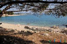 Apartmaje tik ob morju (20 m), prva vrsta, oddam v najem